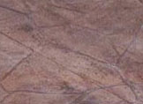 Stamped Concrete